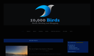 10000birds.com thumbnail