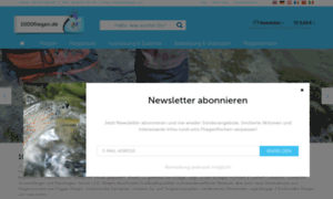 1000fliegen.de thumbnail