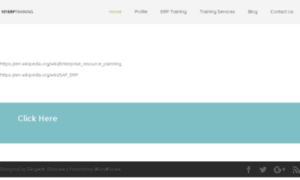101erptraining.com thumbnail