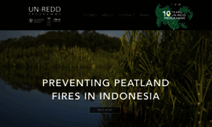 10year.un-redd.org thumbnail