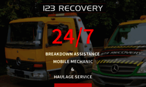 123recovery.ie thumbnail