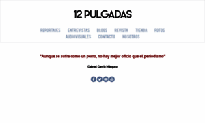 12pulgadas12.com thumbnail