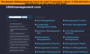 16bitmanagement.com thumbnail