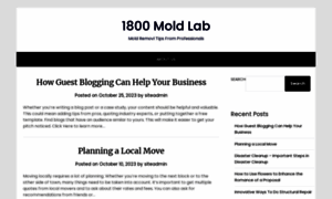 1800moldlab.com thumbnail