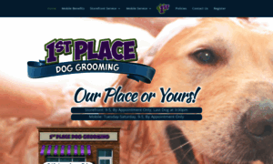 1stplacedoggroom.com thumbnail