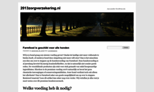 2013zorgverzekering.nl thumbnail