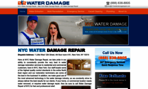 212waterdamagerepair.com thumbnail