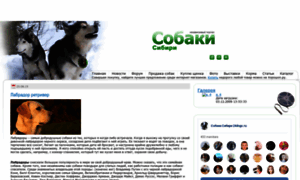 24dogs.ru thumbnail