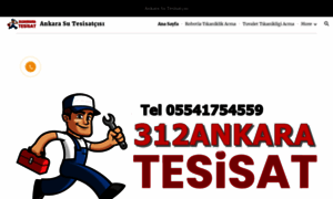 312ankarasutesisatcisi.com thumbnail