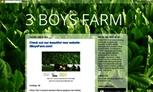 3boysfarm.blogspot.com thumbnail