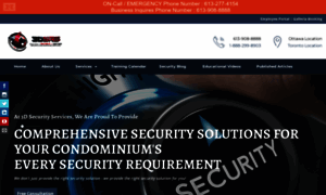 3dsecurityservices.com thumbnail