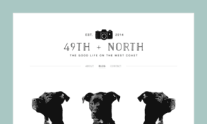 49thandnorth.com thumbnail