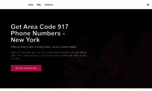 917areacode.com thumbnail
