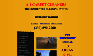 A1carpetcleaners.org thumbnail
