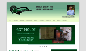 A1moldtesting.com thumbnail