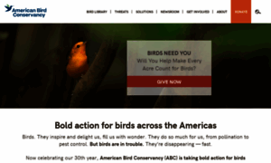 Abcbirds.org thumbnail