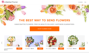 Abetterfloristturkey.com thumbnail