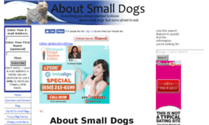 About-small-dogs.com thumbnail