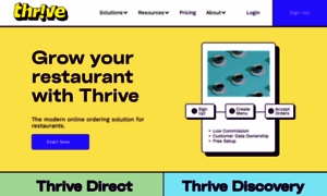 About.thrivenow.in thumbnail