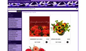 Absolutely-flowers.com thumbnail