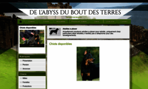 Abyssduboutdesterres.chiens-de-france.com thumbnail