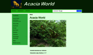 Acacia-world.net thumbnail