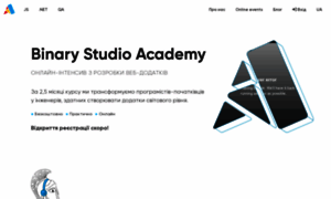 Academy.binary-studio.com thumbnail