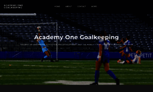 Academyonegoalkeeping.com thumbnail