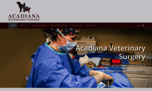 Acadianaveterinarysurgery.com thumbnail