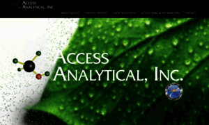 Accessanalyticalinc.com thumbnail