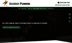 Accurateplumbinginc.com thumbnail