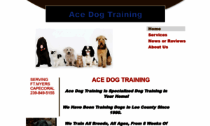 Acedogtraining.biz thumbnail