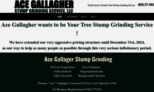 Acegallagherstumpgrinding.com thumbnail