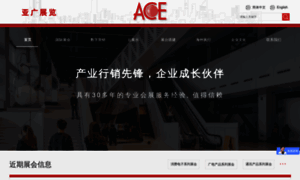 Acemarketing.com.cn thumbnail