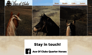 Aceofclubsquarterhorses.com thumbnail