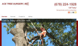 Acetreesurgery.net thumbnail