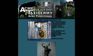 Acmetaxidermy.com thumbnail