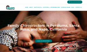 Acornchiropractic.com thumbnail