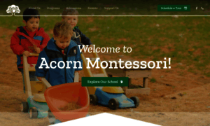 Acornschool.org thumbnail