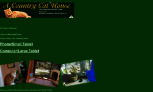 Acountrycathousetampa.com thumbnail