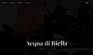 Acquadibiella.company.site thumbnail