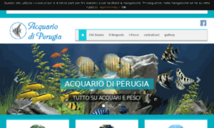 Acquariodiperugia.com thumbnail