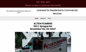 Actionplumbingboys.com thumbnail