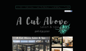 Acutabovetherestsalonandspa.com thumbnail