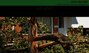 Acutabovetreeexperts.net thumbnail