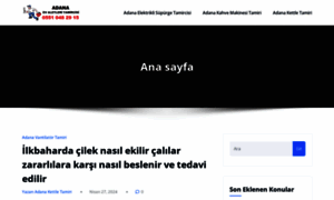 Adanakettletamiri.com thumbnail