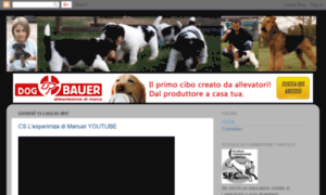 Addestramento-del-cane.com thumbnail