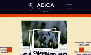 Adica.org thumbnail