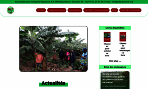 Adip-burundi.org thumbnail