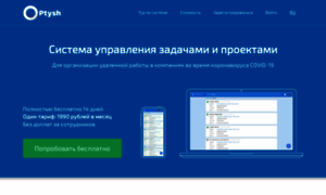 Admin.ptysh.ru thumbnail